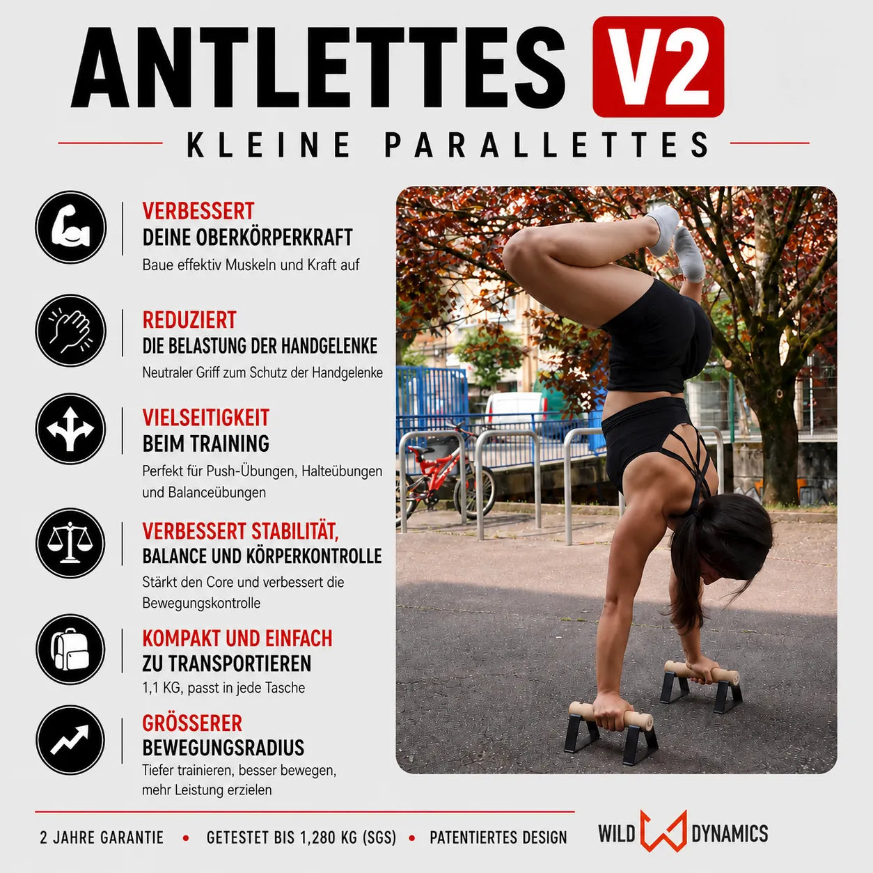 antlettes v2 kleine parallettes vorteile