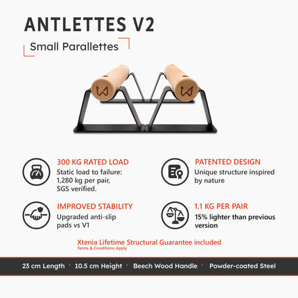 Antlettes V2 small parallettes with wood handles and steel frames