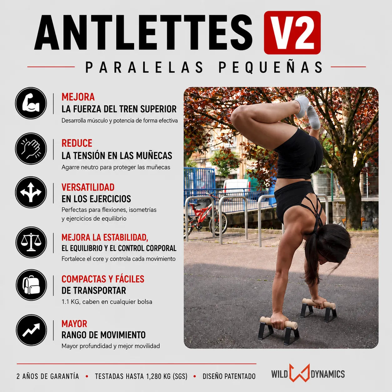 antlettes v2 small parallettes training