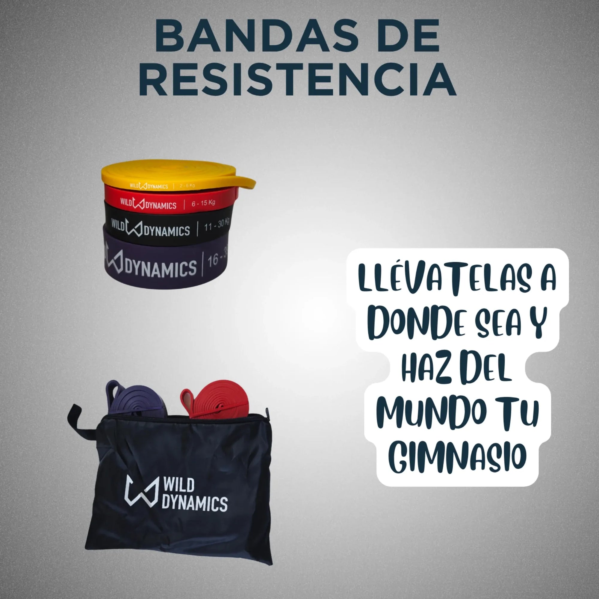 Resistance bands in a Wild Dynamics bag with promotional text